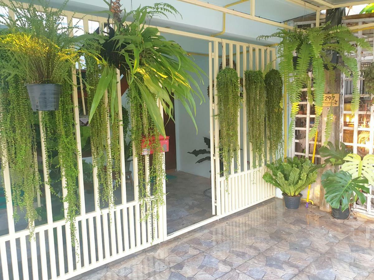 297 Nature Residence バンコク都 エクステリア 写真